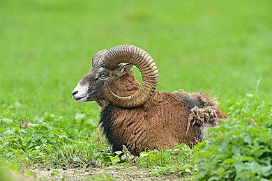 多人生存名作《腐蚀》新更新上线 中世纪战场开放