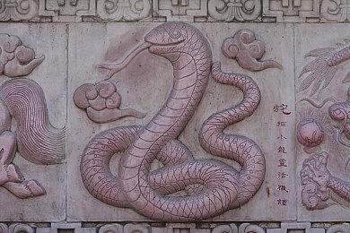 《COD19》S3赛季新角色预告 4月12日上线