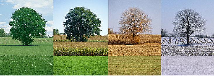 《装甲核心6》最低配置公布 采用蓝熊反作弊