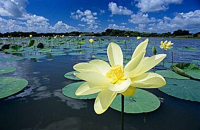 《网络奇兵：重制版》新预告 画面精美气氛恐怖